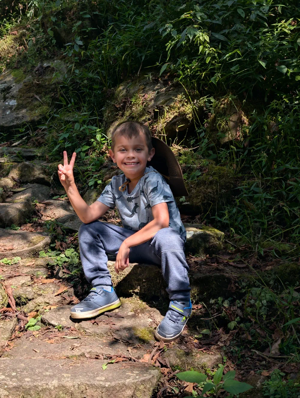A young boy in a dinosaur t-shirt sitting on a mossy stone step of the forest trail, holding up a peace sign